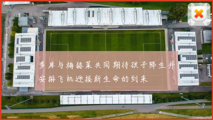 多库与梅赫莱共同期待孩子降生并安排飞机迎接新生命的到来