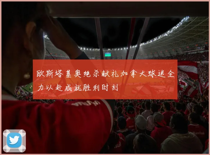 欧斯塔基奥绝杀献礼加拿大球迷全力以赴成就胜利时刻